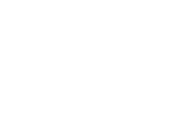 Bingo